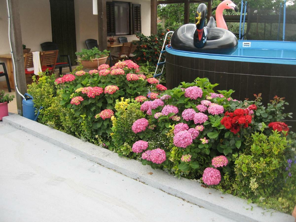 Apartments Adelita โปเรช ภายนอก รูปภาพ
